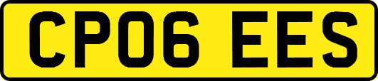 CP06EES