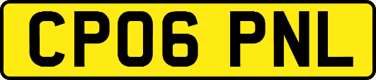 CP06PNL