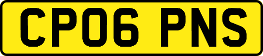 CP06PNS