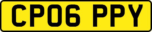 CP06PPY
