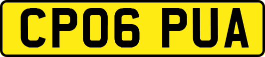 CP06PUA