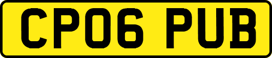 CP06PUB