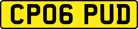 CP06PUD