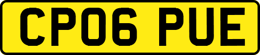 CP06PUE