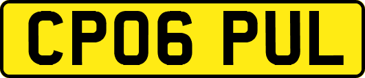 CP06PUL