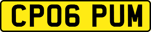 CP06PUM