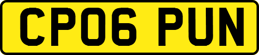 CP06PUN