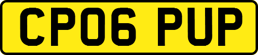 CP06PUP