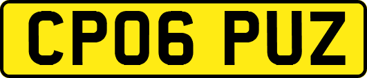 CP06PUZ