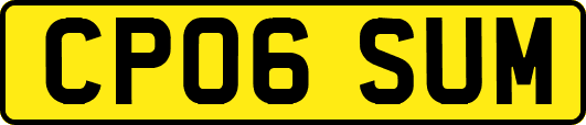 CP06SUM