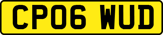 CP06WUD