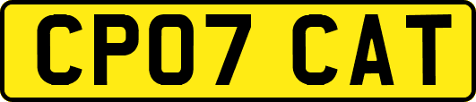 CP07CAT