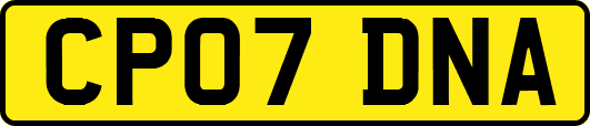 CP07DNA