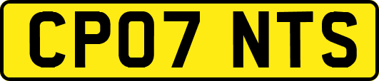 CP07NTS