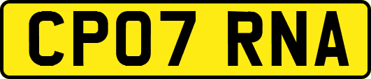 CP07RNA