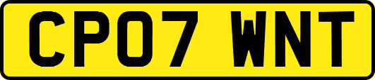 CP07WNT