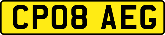 CP08AEG