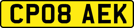 CP08AEK