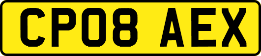 CP08AEX