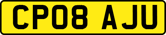 CP08AJU