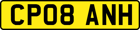CP08ANH