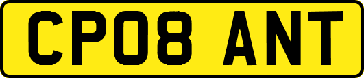 CP08ANT