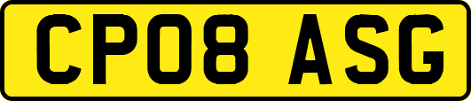 CP08ASG