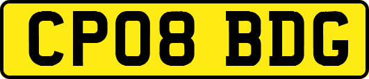 CP08BDG