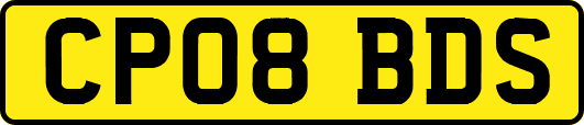 CP08BDS