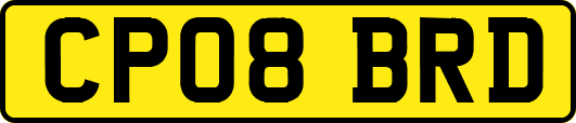 CP08BRD