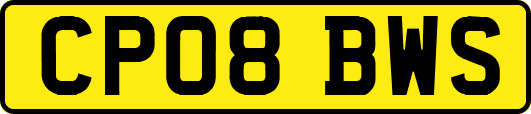CP08BWS