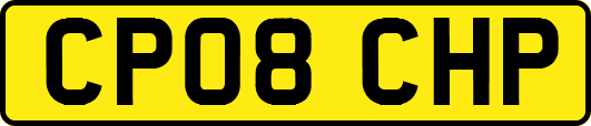 CP08CHP