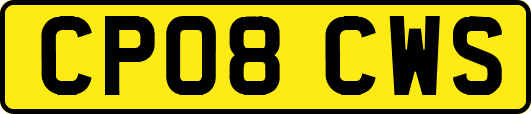 CP08CWS
