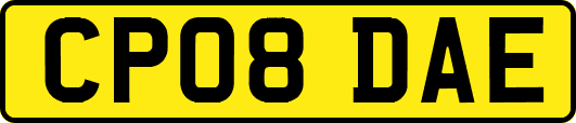 CP08DAE
