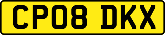 CP08DKX
