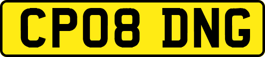 CP08DNG