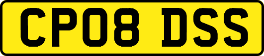 CP08DSS