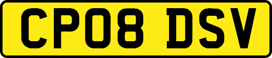 CP08DSV