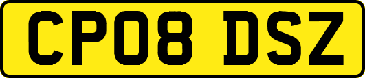 CP08DSZ