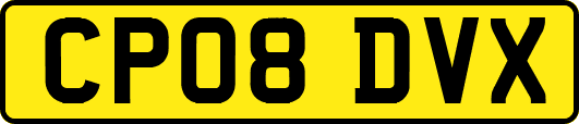 CP08DVX