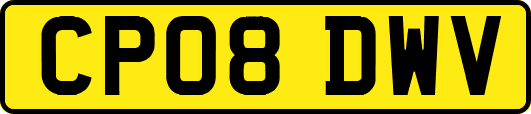 CP08DWV