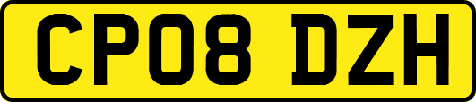 CP08DZH