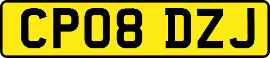 CP08DZJ