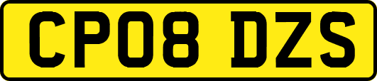 CP08DZS