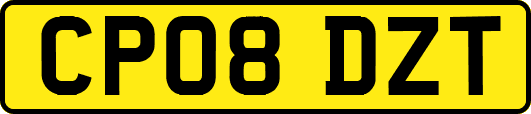 CP08DZT