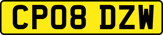 CP08DZW