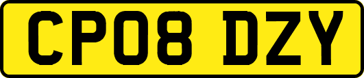CP08DZY