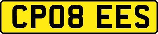 CP08EES
