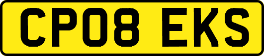 CP08EKS