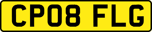 CP08FLG